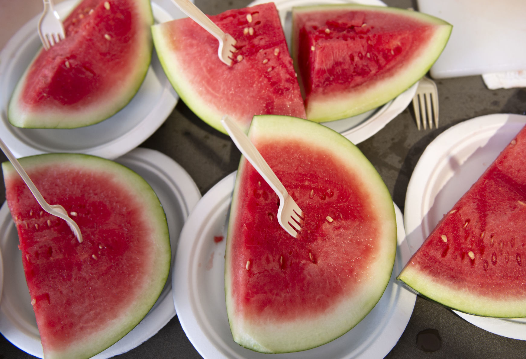 WATERMELON AT FAIR, 8.2